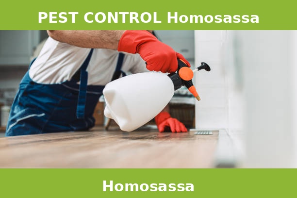PEST CONTROL Homosassa